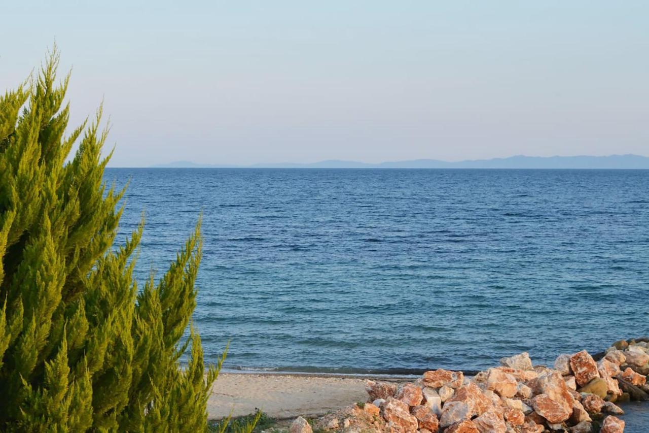 Lemon Beach Front Apartment, Nikiti Exterior foto